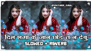 dil laga ke jaan chhor t na debu slowed reverb bhojpuri lofi song new tranding lofi song 