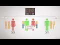 Everything you Need to Know Chromosome Analysis Karyotyping