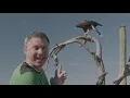 Happy Birt ay Chris Kratt