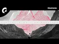 Digital Camel - The Wanderer
