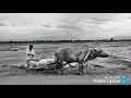 Gillian Welch - Hard Times (Lyrics)
