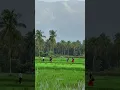 Download Lagu https://vt.tiktok.com/ZSStS5XJf/