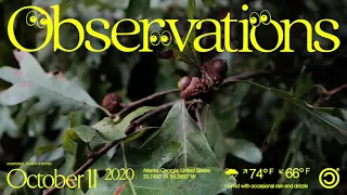 Observations 2020 10 11 