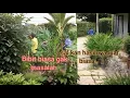 Download Lagu Bongkar bibit abal abal siap kirim ke lahan