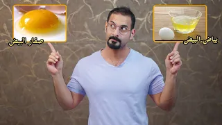 مقارنة بين صفار البيض وبياض البيض  النتيجة صادمه دندنها