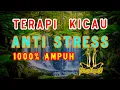 Download Lagu TERAPI UNTUK BURUNG TIDAK STRESS ! untuk semua jenis burung, dijamin 1000% Ampuh!
