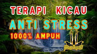 Download TERAPI UNTUK BURUNG TIDAK STRESS ! untuk semua jenis burung, dijamin 1000% Ampuh! MP3