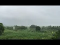 Caribbean Tropical Rain Sounds 🌧️ | Peaceful Rain for Sleep & Relaxation