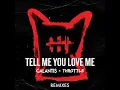 Tell Me You Love Me (Toby Green Remix)