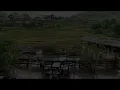 🌧️ Just Another Beautiful Rainy Day | Simple Moments in Nature