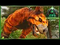 Download Lagu Best Place to Tame Thylacoleos! Ark Ragnarok Nomad 17