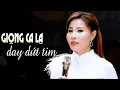 Download Lagu Giọng Ca Lạ Như Xoáy Vào Hồn Triệu Khán Giả - Chuyện Tình Hoa Trắng | Nhạc Vàng Phi Thanh 2023