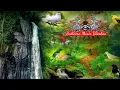 Download Lagu Gamelan Rindik Bali Dengan Suasana Alam Ditemani Kicauan Burung Dialam