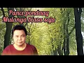 PANCE PONDAAG - MULANYA BIASA SAJA ( LIRIK LAGU )