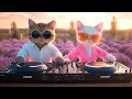 Download Lagu Lavender Dreams 🌸 | Chill House Live Set in the Purple Fields of Provence