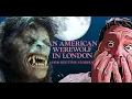 Download Lagu An American Werewolf In London 🐺🌚 (An ASMR Soft Spoken Bedtime Story)