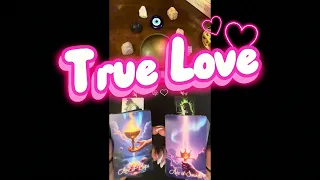 Divine counterparts TRUE LOVE
