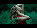 Download Lagu Hayit Murat - I Can't Take It (Original Mix)