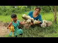 Download Lagu Found pick up mushroom in rainforest/ Cooking chicken soup spicy with mushroom +5food recipe