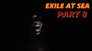 A PIRATE in the NIGHT