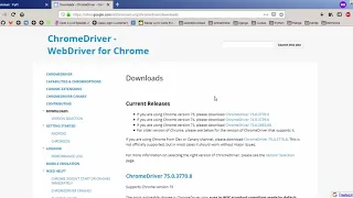 WebDriverException Message geckodriver executable needs to be in PATH