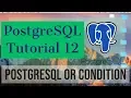 PostgreSQL Tutorial for Beginners 12 - PostgreSQL