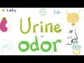 Urine Odors - Why does my urine smell