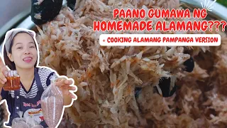 PAANO GUMAWA NG BINURONG ALAMANG? Complete Costing | Tipid Tips atbp