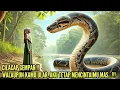 Lagu VIRAL !! KISAH CINTA GURU CANTIK CILACAP YANG MEN!KAH DENGAN SEEKOR ULAR