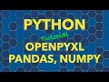 Python openpyxl Pandas and Numpy