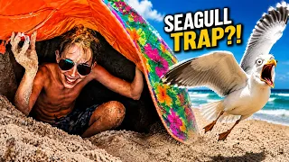 We Tried to Trap a Seagull At The Beach… 🪶😂