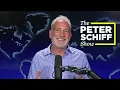 Download Lagu 🔴 Donald Trump Was Wrong - The Peter Schiff Show Ep 1039