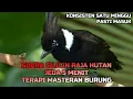 Download Lagu MASTERAN MURAI BATU, SUARA CILILIN JEDA 5 MENIT JERNIH