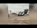 Alliant Energy sends crews to Baton Rouge to help restore power remove fallen trees