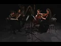 Four Voices String Quartet plays "One Hand One Heart"