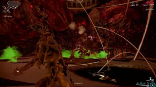 Lephantis bug