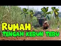 Download Lagu 🔴VIRAL RUMAH‼️ DI TENGAH KEBUN TEBU YANG LAGI VIRAL DI JAWA TIMUR