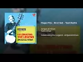 Raga Pilu - Drut Gat - Taal Dadra (Instrumental)