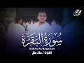 Download Lagu سورة البقرة ( كاملة ) تلاوة خاشعة تهتز لها القلوب | القارئ علاء عقل | Surah Al-Baqara by Alaa Aql