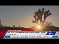 Builders fined for digging up Joshua trees