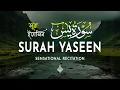 Download Lagu Surah Yasin (Yaseen) سورة يس | A Beautiful Stillness for the Listening Soul | Al-Taqwa TV