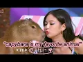 Lagu Jennie and Capybara