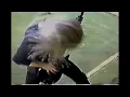 Cannibal Corpse  - Hammer Smashed Face Live Eats Moscow Alive 93 With Chris Barnes - Remastered  HD