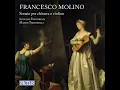 Grande sonata for Guitar & Violin, Op. 7 No. 1: I. Allegro