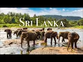 Lagu Sri Lanka 4K - Scenic Relaxation Film With Calming Music