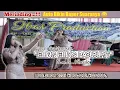 Download Lagu ELING ELING PABUBURIT - NINA MINCREUNK || IBAS PRODUCTION || LIVE SHOW 2021 CIBOLANG,CISARUA.