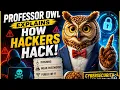 Professor Owl Explains How Hackers Hack Without Coding