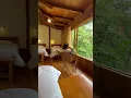 Download Lagu La casa de Cecilia en Mindo - Ecuador 🇪🇨