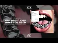 Steve Angello & Wh0 - What You Need [Size Records & Wh0 Plays Records]