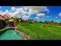 Download Lagu Gamelan bali yang bagus untuk relaksasi dan menenangkan pikiran